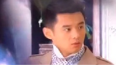 藏心