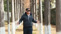 泰师 Style