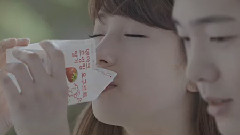 丹麦酸奶CF 15S