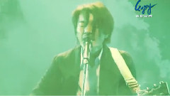 数十亿只蝇