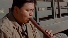 影视原声 - 沧海一声笑