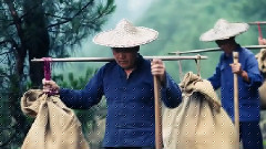 壶镇