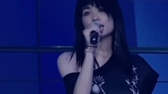 但愿人长久
