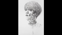 绘画 白贤