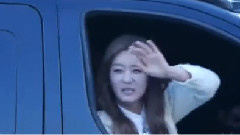 Show Champion