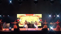 风中的玫瑰