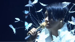 樱花树下