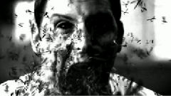 Sleepwalker