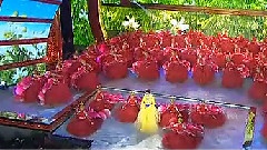 相信