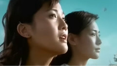 风筝与风