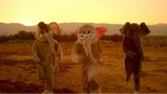 Coldplay - Paradise