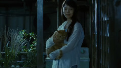影视原声 - 映画