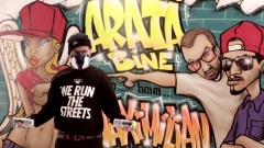 Arata Bine