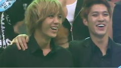 虎凤蝶 & Shy boy