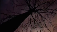 Paul Simon - The Sound Of Silence