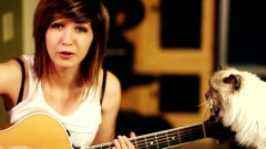I Wrote You a Song