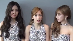 少女时代,少女时代-TTS - SNSD TaeTiSeo Baidu King Charts Message