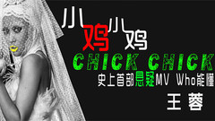 王蓉 - 小鸡小鸡
