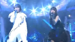 Preserved Roses