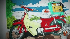 My Little Honda 50
