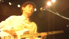 永远拢共款