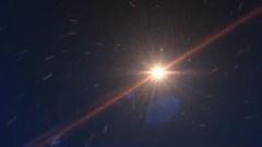 Flash Of Life