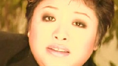 你不会回来