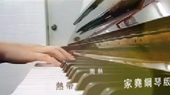 热带雨林