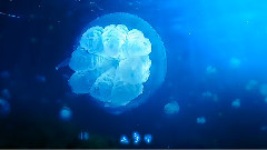 初音未来 - Aquatronica 電影水族館