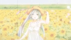 初音未来 - 夏少女
