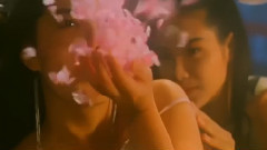王祖贤 - 烟雨重楼