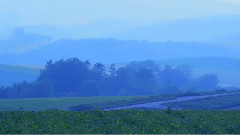田野静悄悄