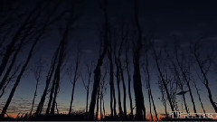 Heavens Gate