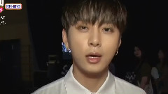 BEAST - SHOW CHAMPION.Behind