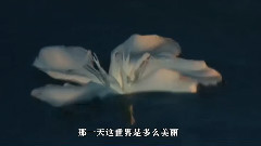 雨中飘荡的回忆
