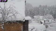 雪之梦