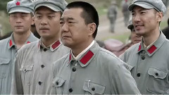 山茶花