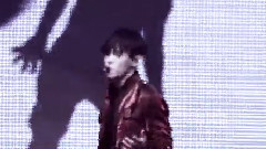 Wolf remix