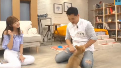 我的小电视MLT-33_Oh My Girl 刘是我CUT