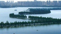 情满江城