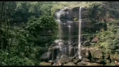 竹韵