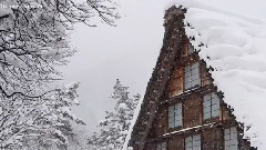 苦雪烹茶