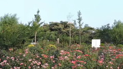 你懂得