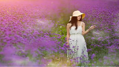 薰衣草的阴影(德国低音长笛)