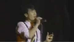 一夜倾情