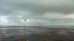 荷兰阿默兰岛