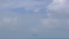 红尘永相伴
