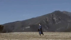 赌