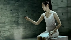 Le Defi