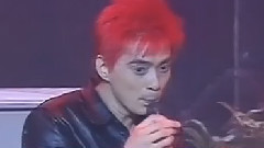美丽的谎言